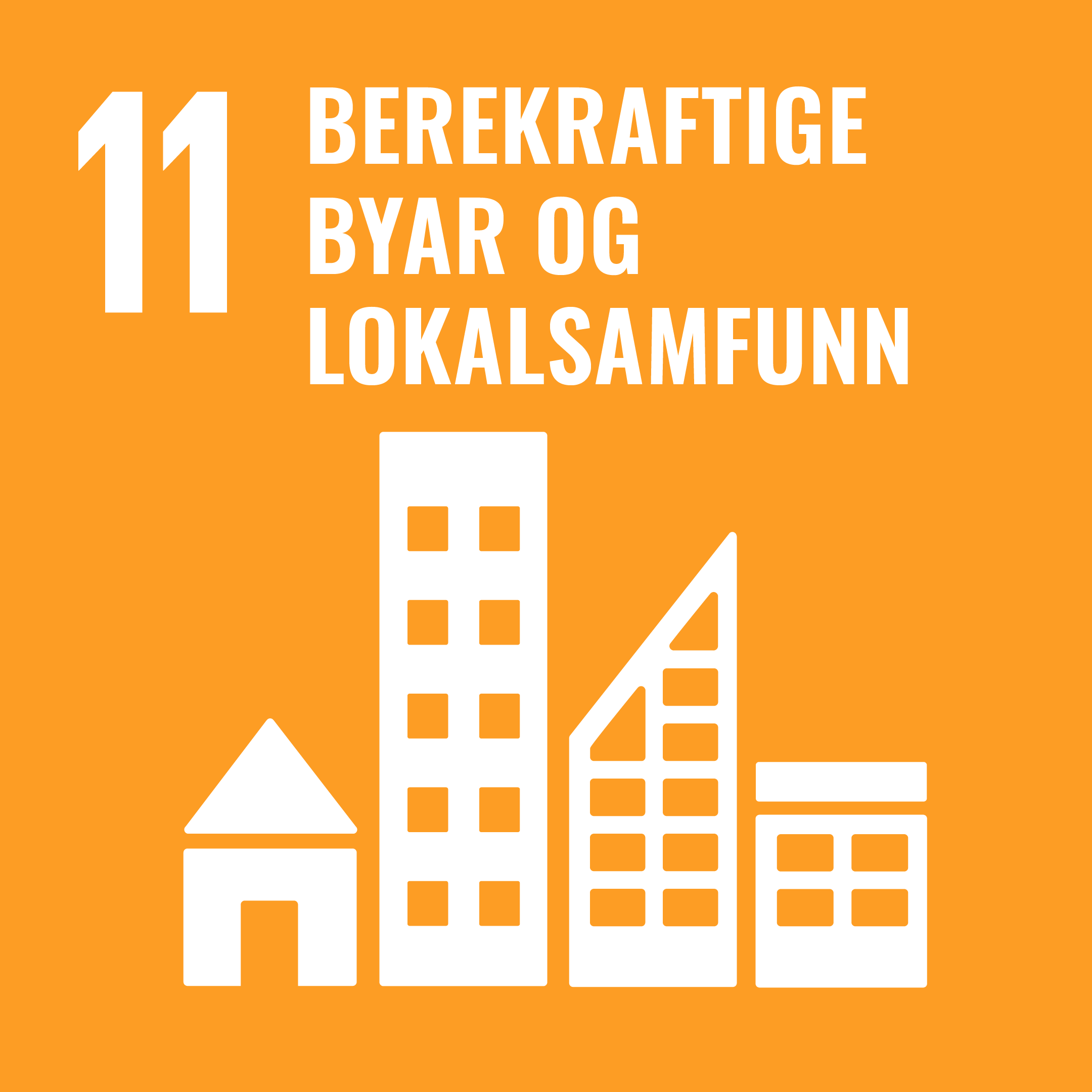 SDG 11