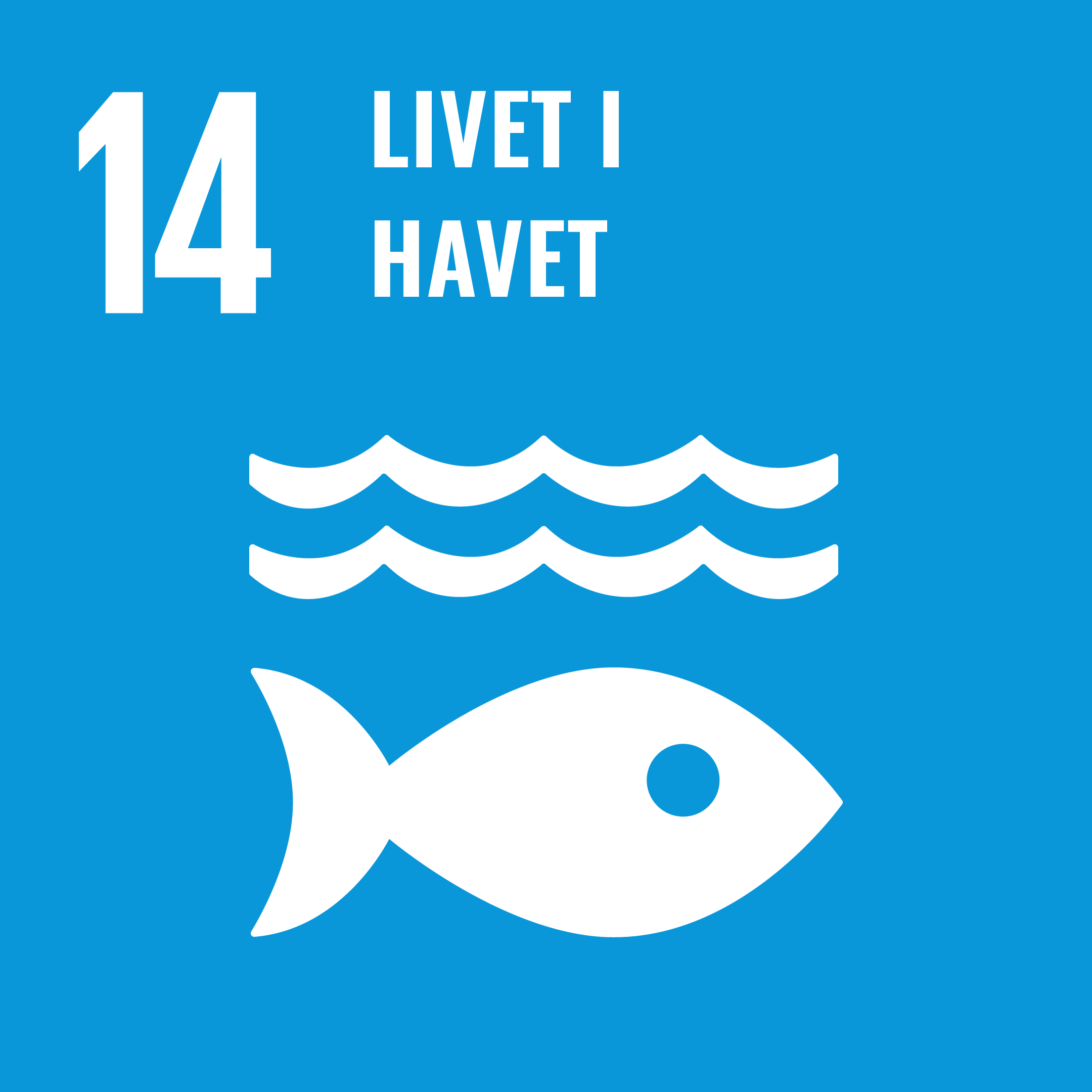 SDG 14