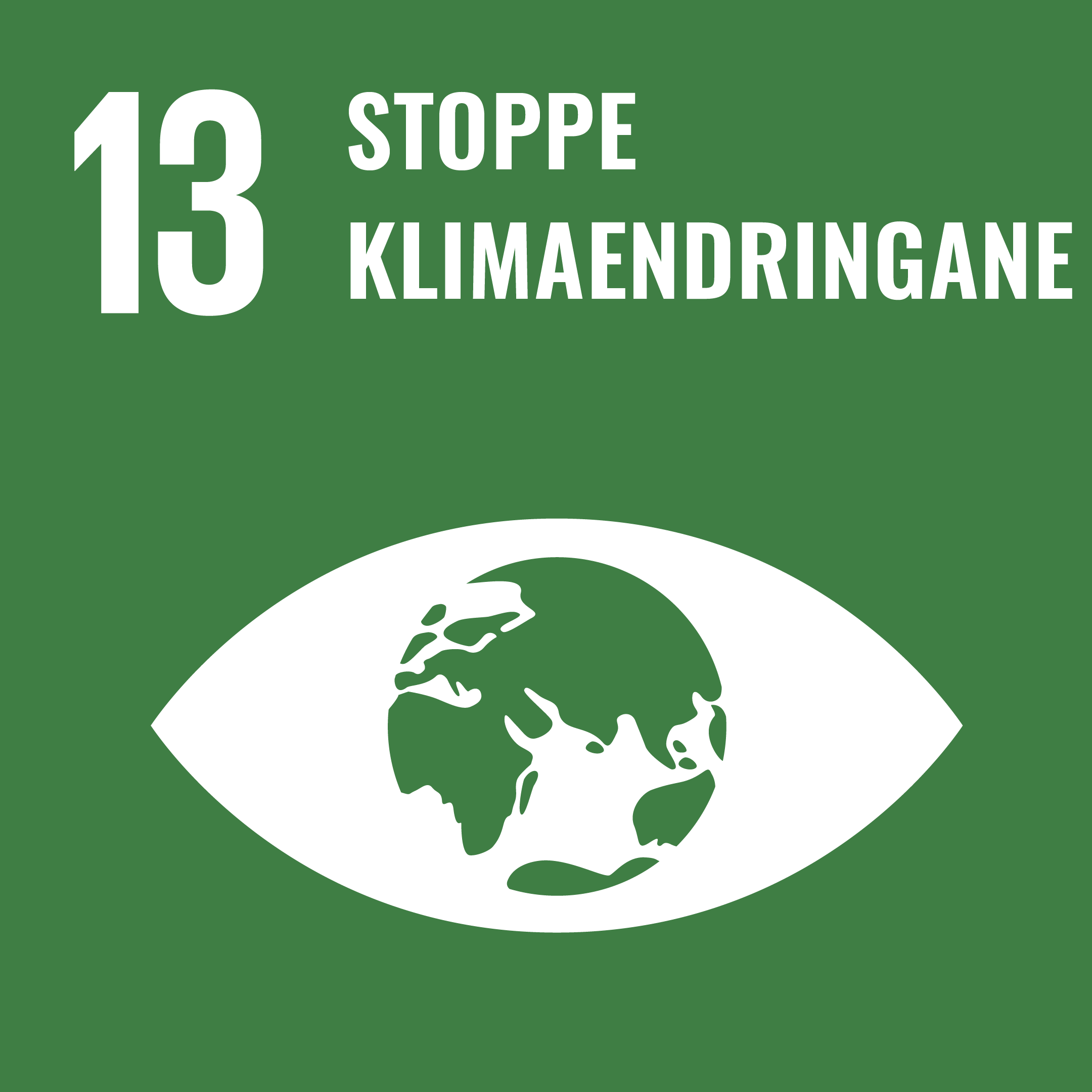 SDG 13