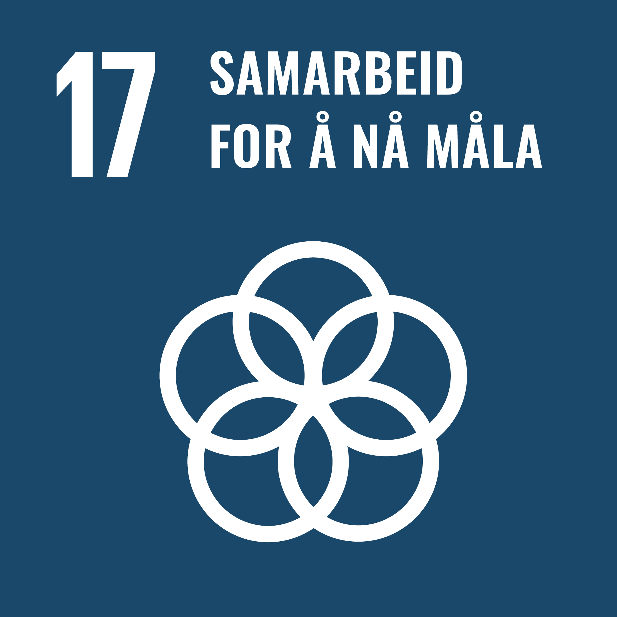 SDG 17